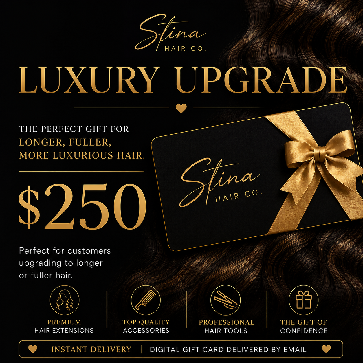 Stina Hair Co. Digital Gift Card